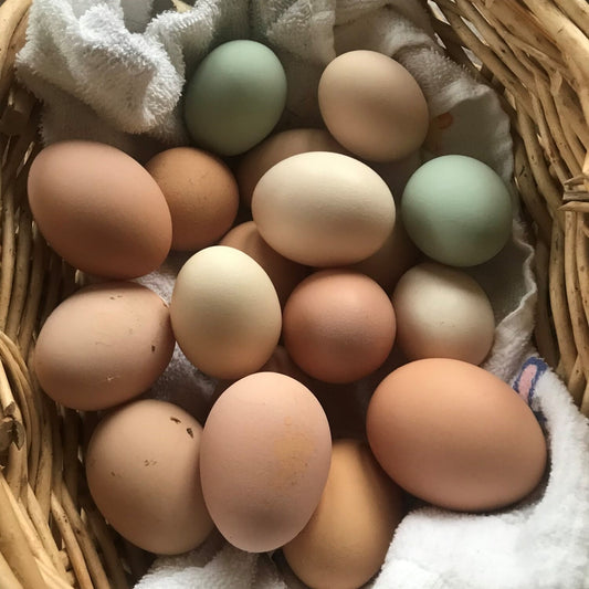 Understanding the Egg-Laying Process of Chickens