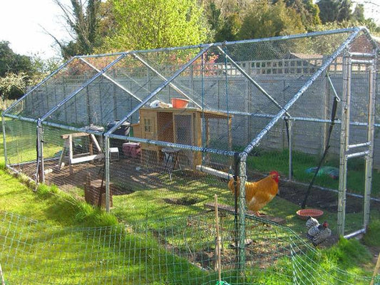 Choosing the Ideal Chicken Coop