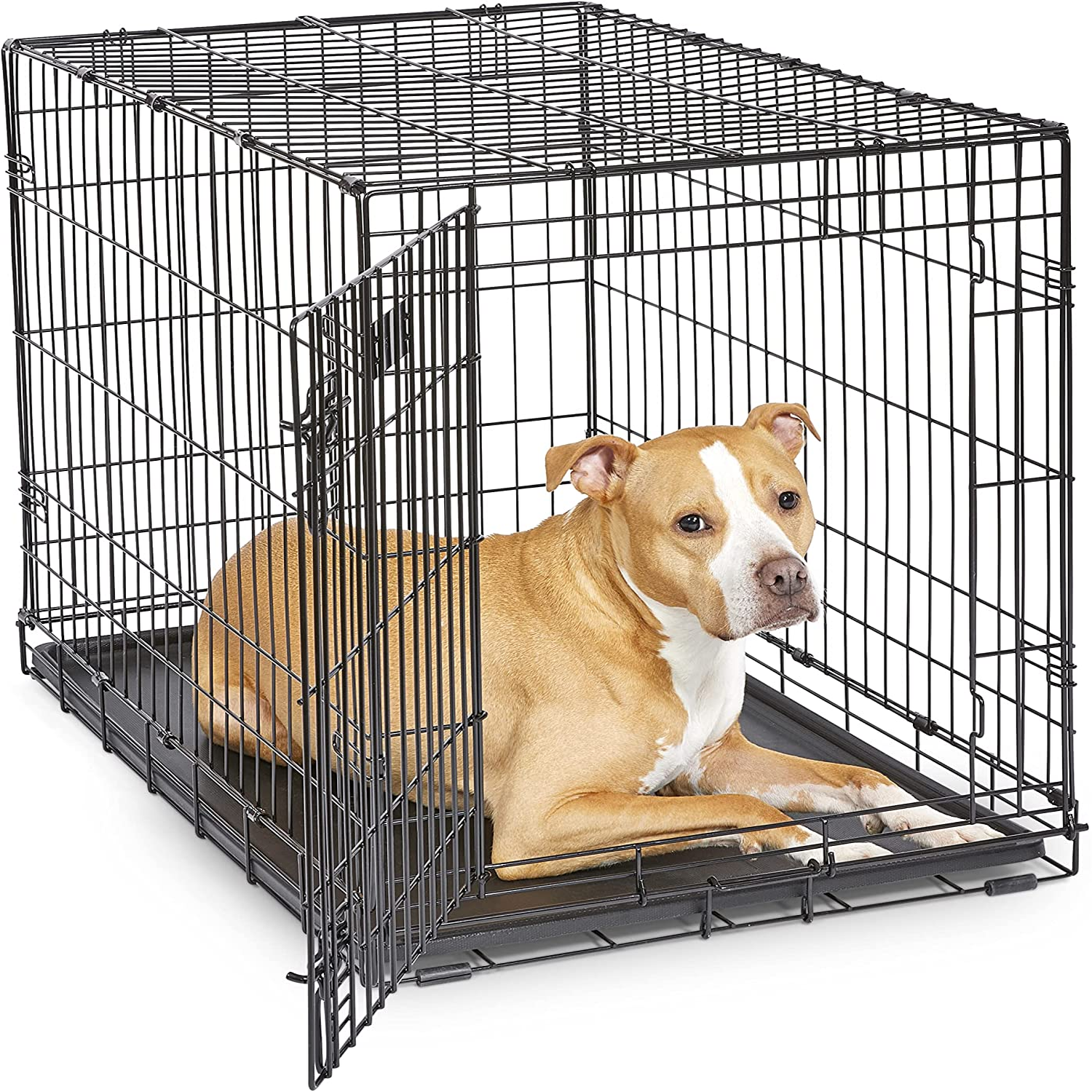 Newly Enhanced Single Door Icrate Dog Crate