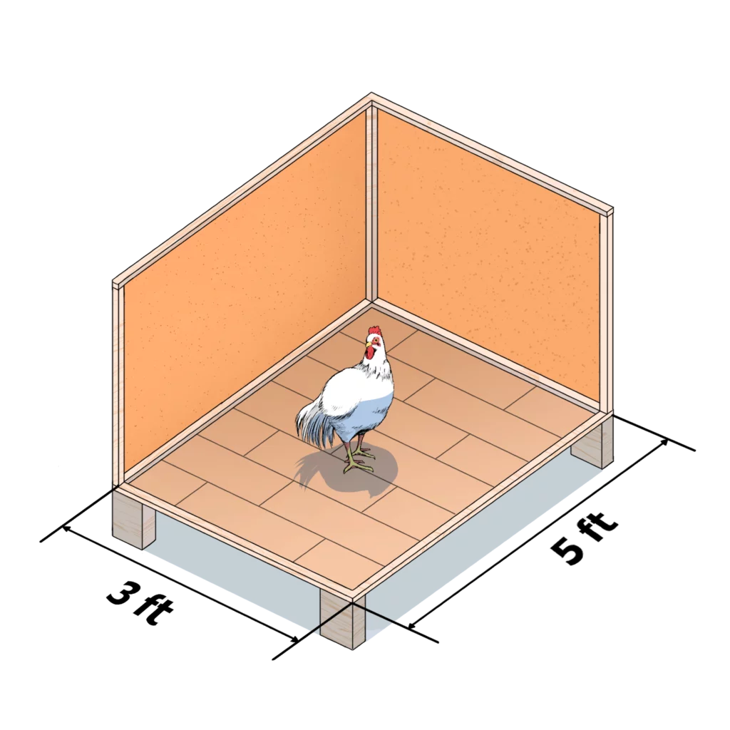How to Calculate the Needed Chicken Coop Space ZiDtia