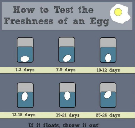 Determining Egg Freshness