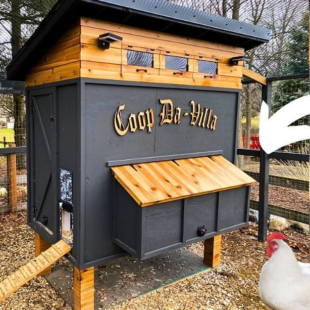 Keeping Your ZiDtia Chicken Coop Clean