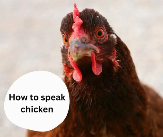Learn to Speak Chicken
