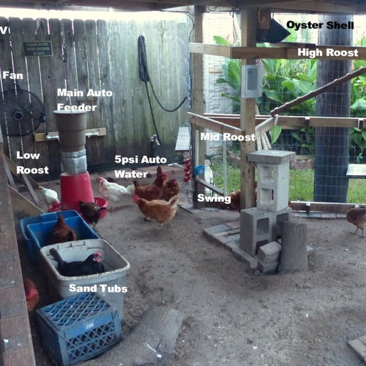 How to Choose the Perfect Chicken Coop
