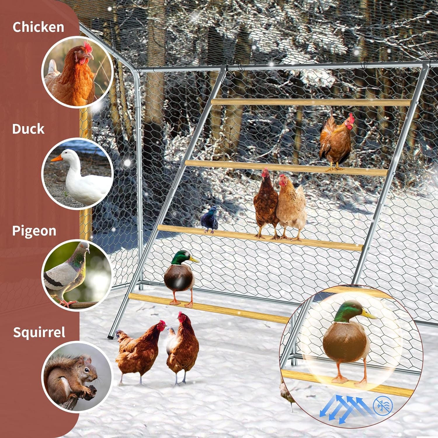 Chicken Coop Roosting Perch Essentials：Perfect for Backyard Poultry, Easy Installation &,Farm Roost Toys for Chickens (55' L X 40' W)