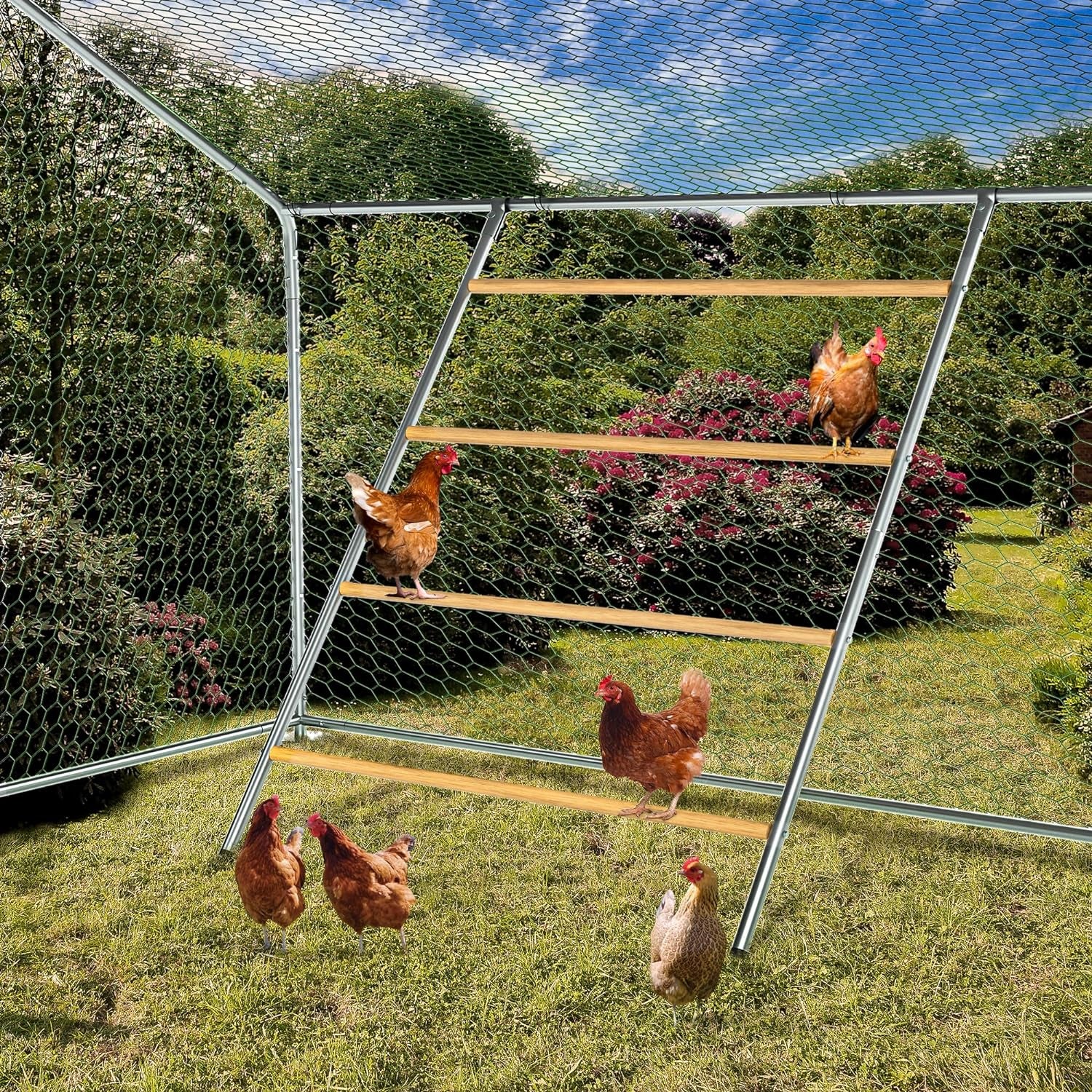 Chicken Coop Roosting Perch Essentials：Perfect for Backyard Poultry, Easy Installation &,Farm Roost Toys for Chickens (55' L X 40' W)