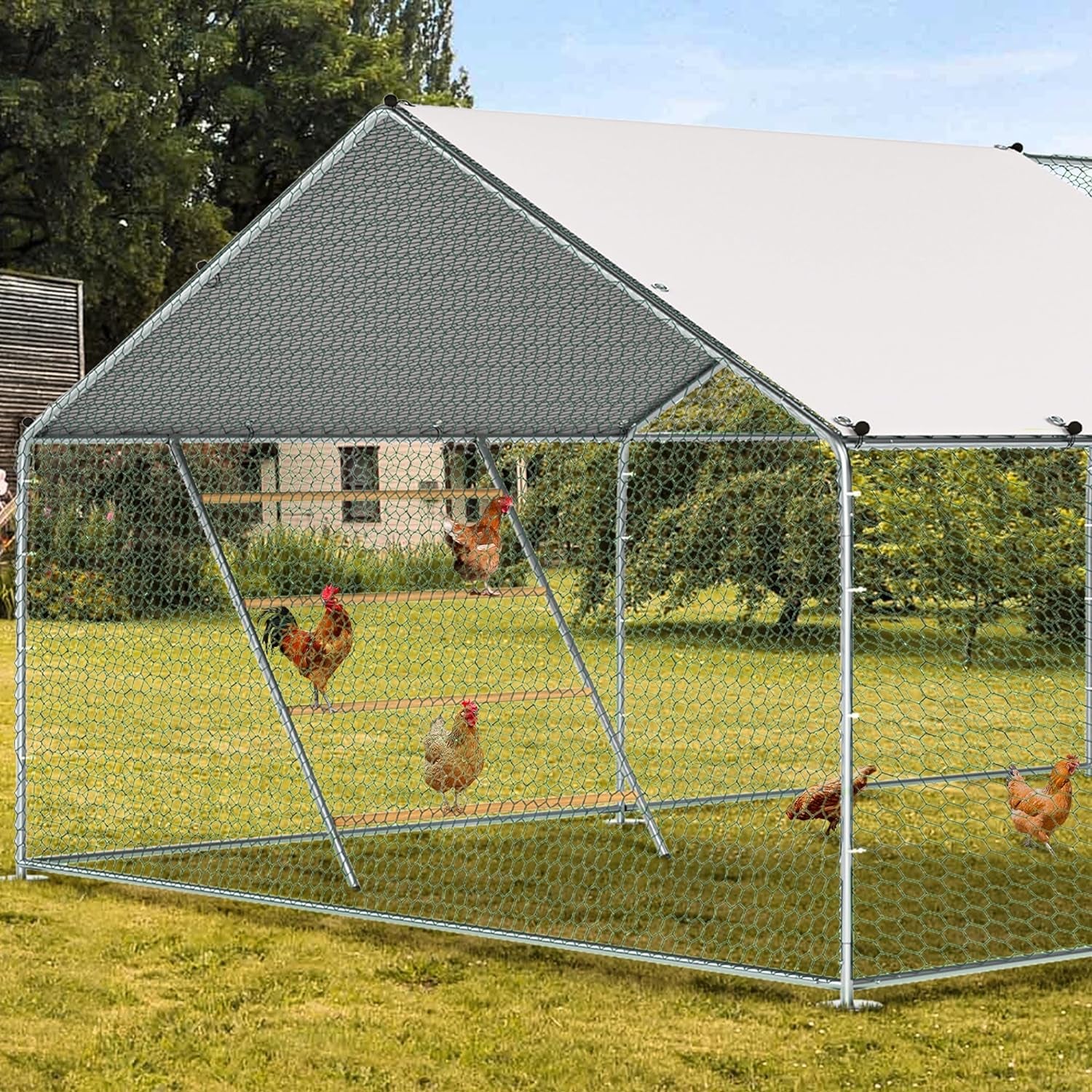 Chicken Coop Roosting Perch Essentials：Perfect for Backyard Poultry, Easy Installation &,Farm Roost Toys for Chickens (55' L X 40' W)