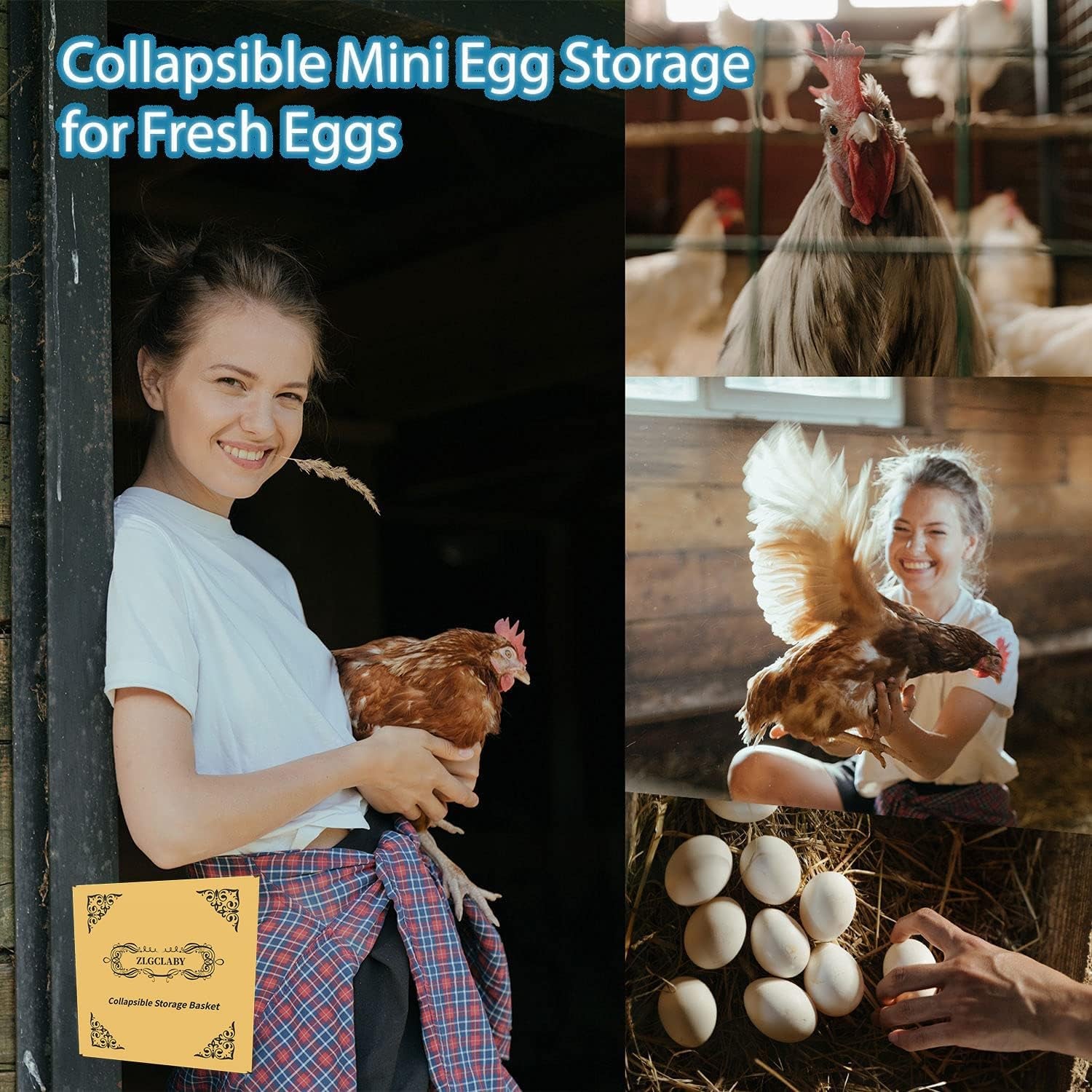 Egg Basket, Wire Storage Basket