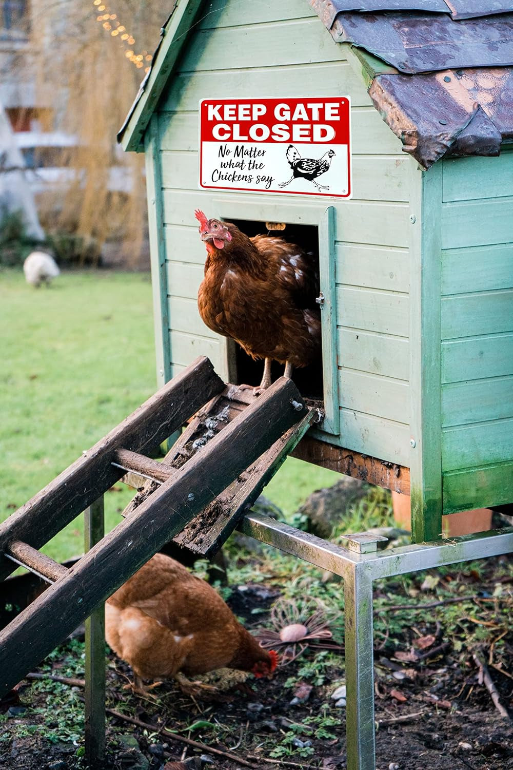 Funny Metal Coop Warning Sign