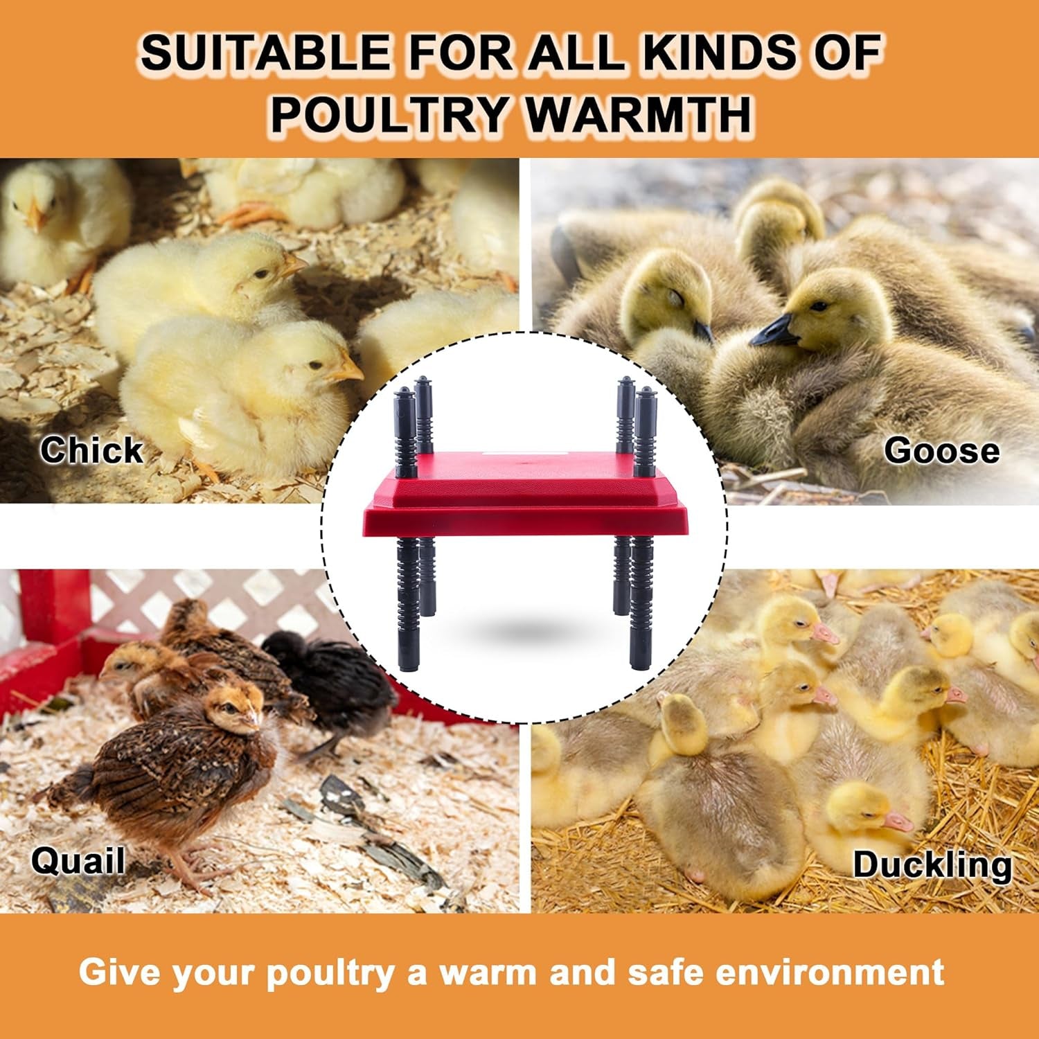 Chick Heater Brooder Plate, 10" X 10" Chick Brooder Heating Plate with Adjustable Heights 9.8 FT Power Cord for Baby Chicken Supplies