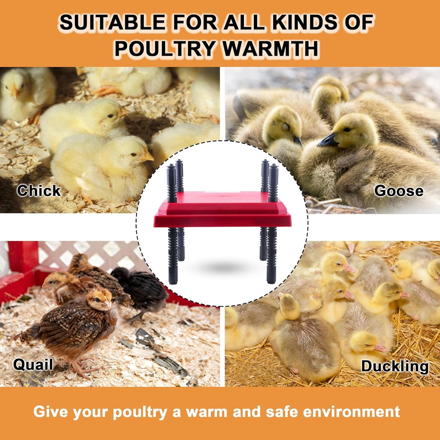 Chick Heater Brooder Plate