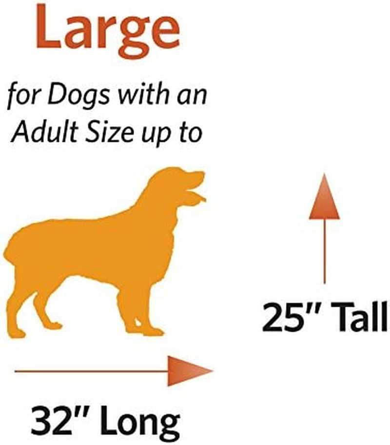 Newly Enhanced Single Door Icrate Dog Crate, Includes Leak-Proof Pan, Floor Protecting Feet, Divider Panel & New Patented Features