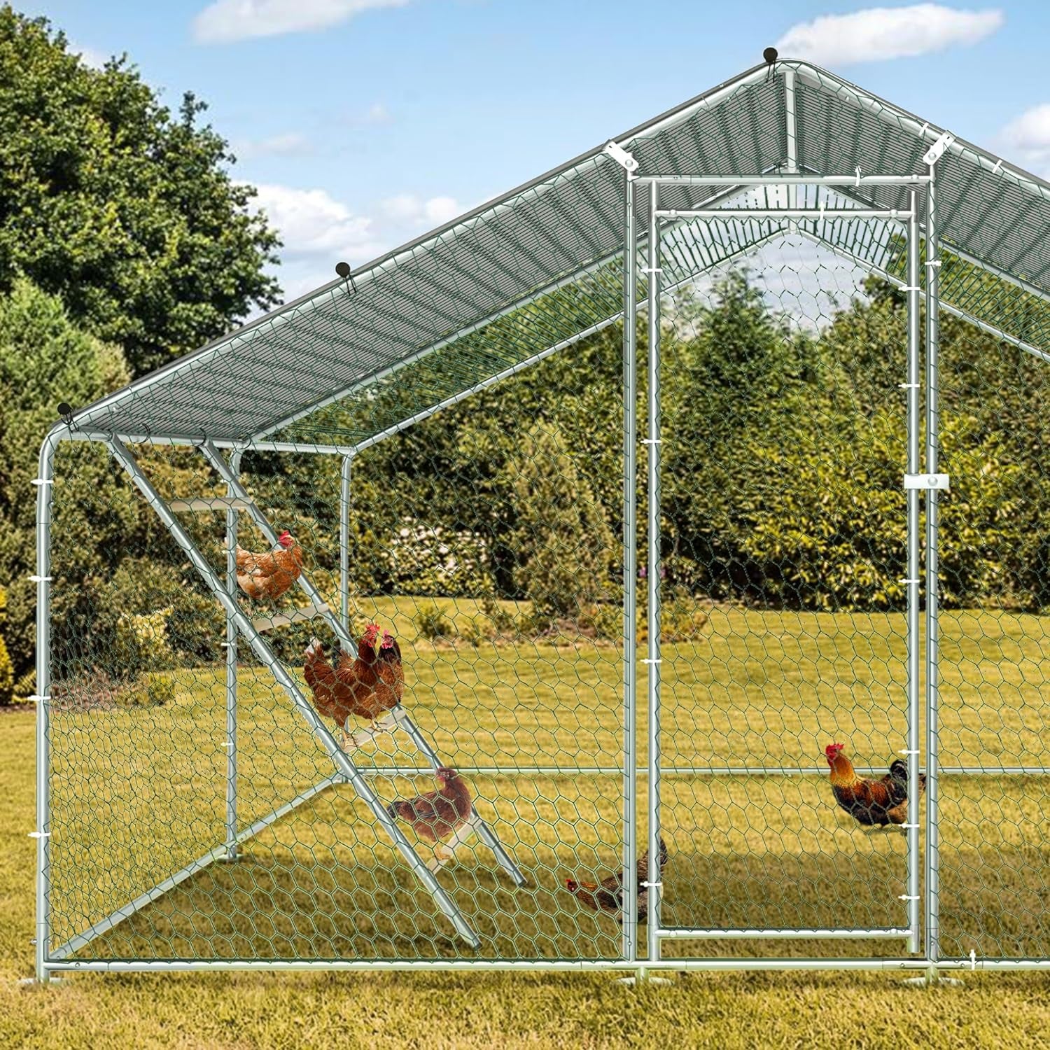 Chicken Coop Roosting Perch Essentials：Perfect for Backyard Poultry, Easy Installation &,Farm Roost Toys for Chickens (55' L X 40' W)