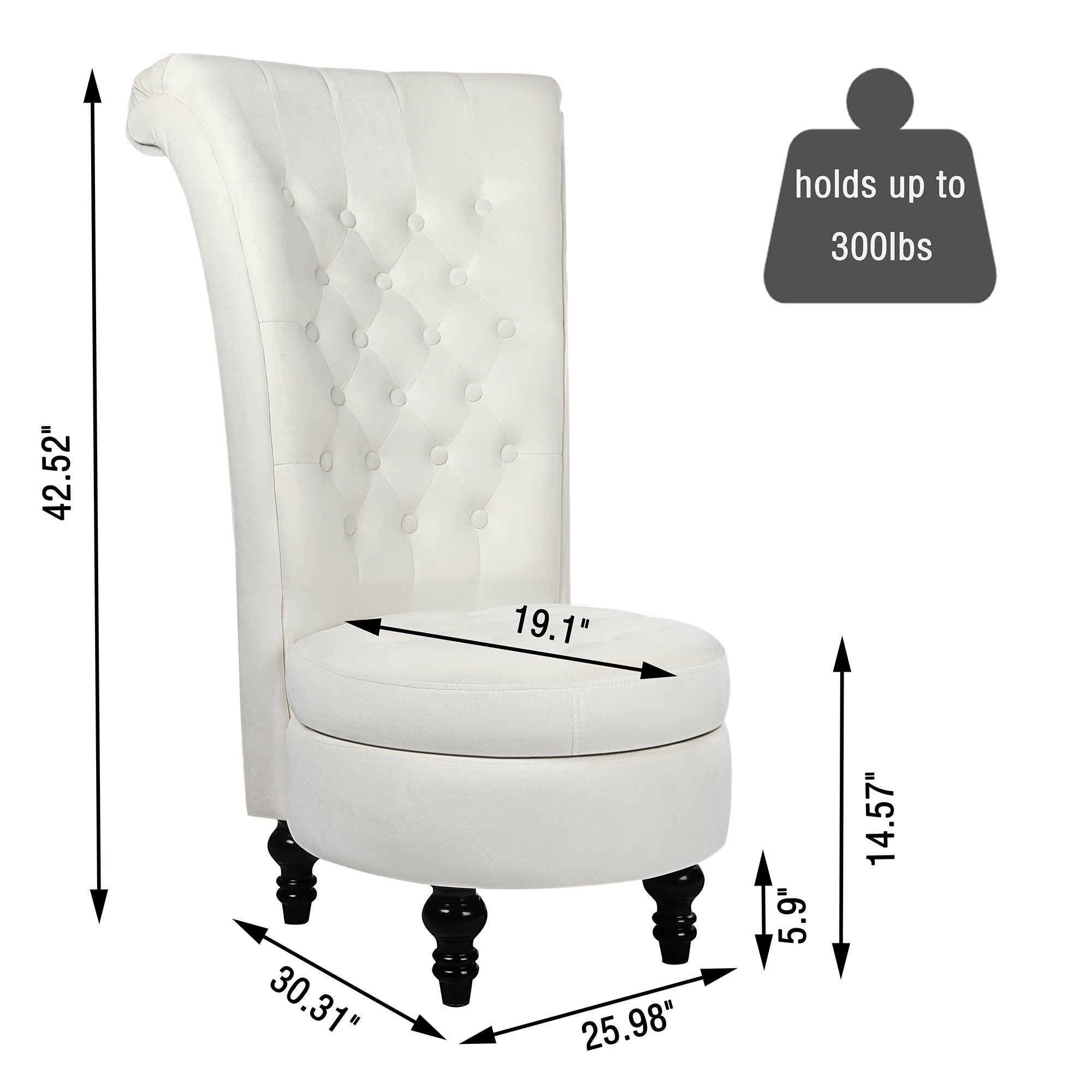 Tolead Royal Velvet High Back Armless Chair w/Storage, Living Room, Furniture, Black