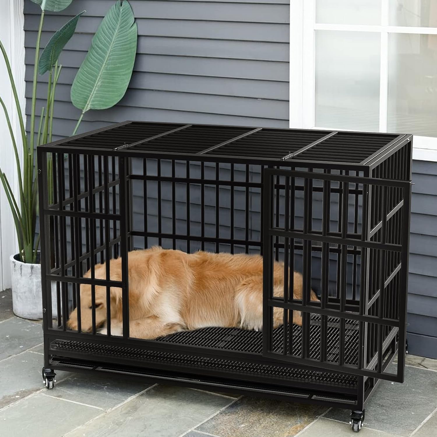 Heavy duty dog shops crate 48