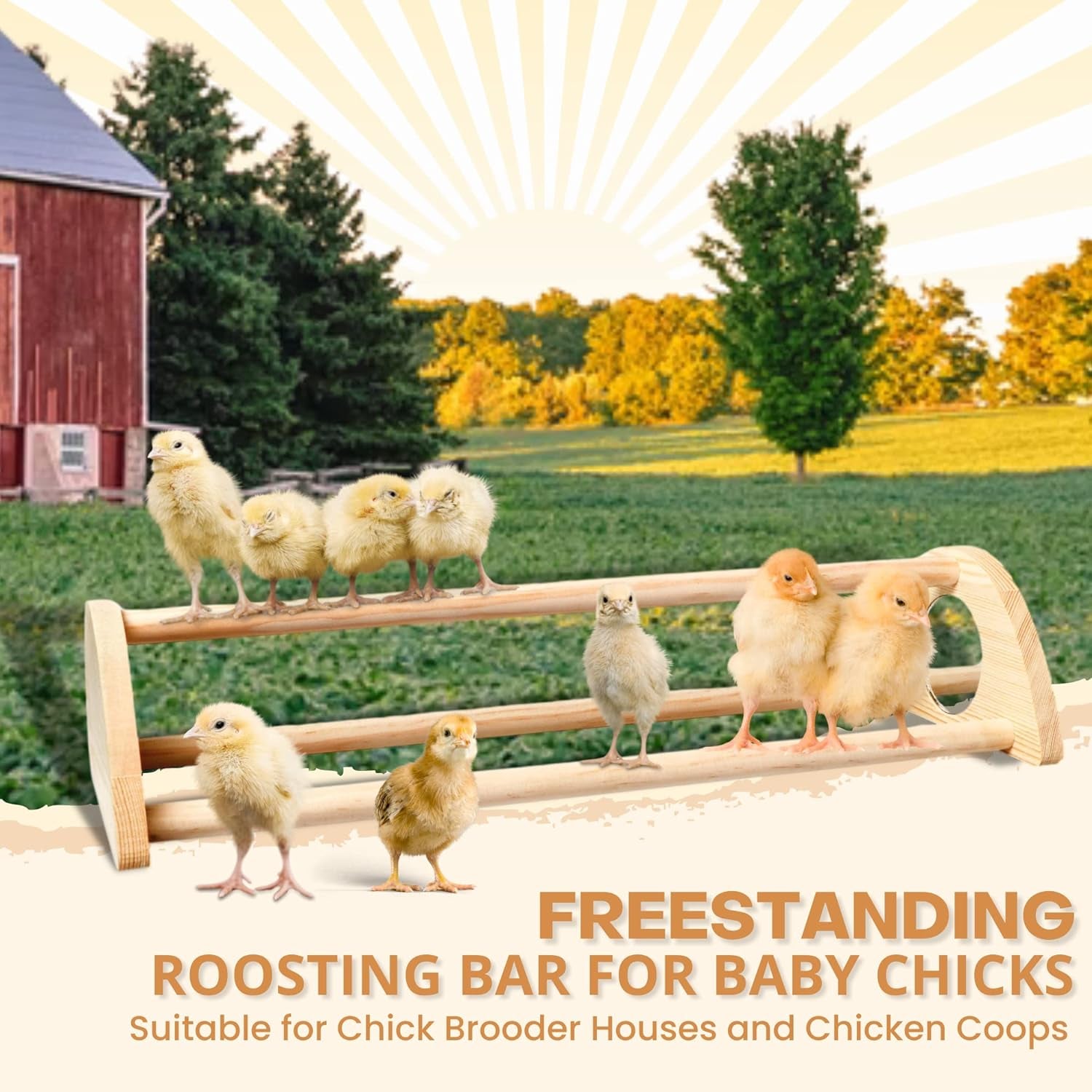 16" Extra Long Chicken Perch - Freestanding Roosting Bar for Baby Chicks with Built-In Mirrors for Entertainment - Durable Polished Bamboo Roosting Bar - 15 3/4 X 6 5/8 X 3 1/2"